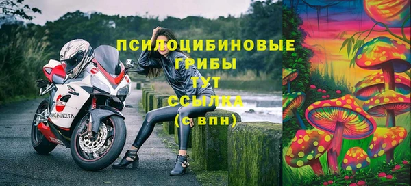 марки nbome Бородино