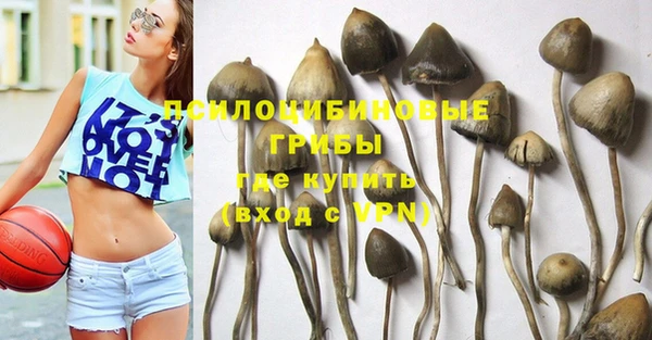 марки nbome Бородино