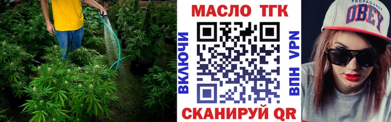 где продают   Шали  ТГК THC oil 