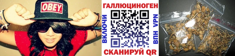 Псилоцибиновые грибы GOLDEN TEACHER  Шали 
